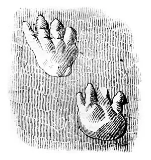Vintage Illustration Art Impressions: Another detail of the amplifies