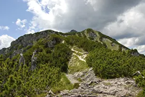 Bavarian Alps Landscape Impressions: Ascent, path to the summit, Mt
