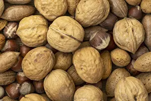 Assorted Nuts Impressions: Assortment of nuts in shells. Selection of different types of nuts