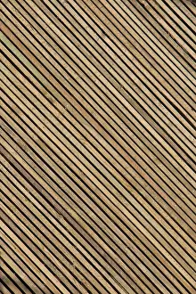Uninhabited Full Size Image Impressions: Background with a certain texture pattern