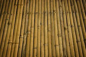 Deserted Bamboo Scene Impressions: Detail of bamboo surface