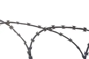 Captive Animal Impressions: Barbed wire