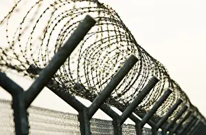 Barbed Wire Fence Impressions: Barbed wire