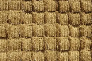 Deserted Barn Impressions: Barn with square shape stack on columns outdoor cereal texture
