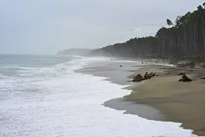South Island Nature Scene Impressions: Beach with forest in the background