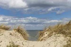 Coastal Area Impressions: Beach path