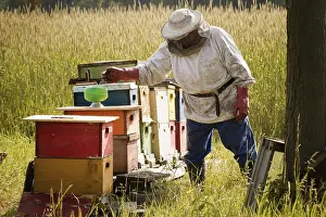 Beekeeper Protective Clothing Impressions: Beekeeper installing a feeder