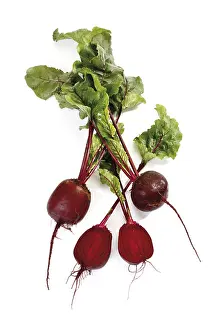 Beetroot Nutrition Impressions: Beetroot