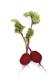 Beetroot Nutrition Impressions: Beetroot