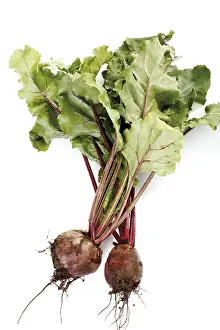 Beetroot Nutrition Impressions: Beetroot