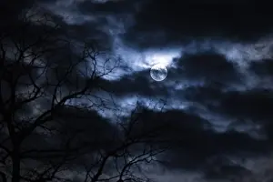 Lower Austria Night Sky Impressions: Branches and clouds in front of full moon