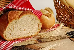 Fresh Bread Impressions: Bread