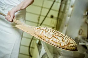 Bakery Products Impressions: Bread in a bakery