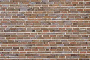 Deserted Brick Wall Impressions: Brickwall
