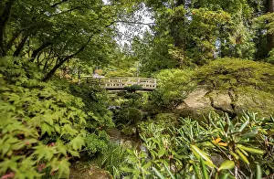 Uninhabited Waterfront Area Impressions: Bridge over an established stream