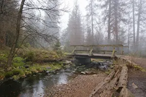 Protected Area In Germany Impressions: Bridge at the Oderteich, Nebel