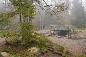 Northern Germany Waterfront Impressions: Bridge at the Oderteich, Nebel