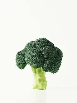 Brassicaceae Plant Impressions: Broccoli