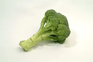 Fresh Green Vegetable Impressions: Broccoli