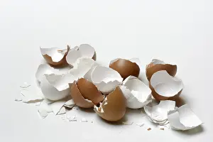 Broken Eggshells Impressions: Broken eggshells