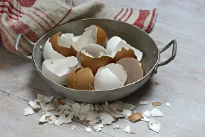 Broken Eggshells Impressions: Broken eggshells in shells