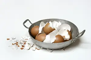 Broken Eggshells Impressions: Broken eggshells in shells