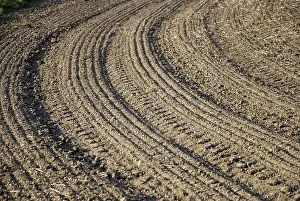 Agricultural Scenery Impressions: Brown field with parallel pattern