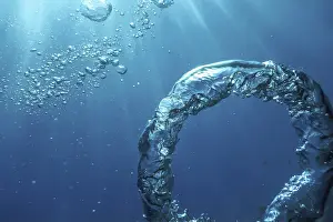 Underwater Photography Impressions: Bubble Ring Underwater, Ring Bubble