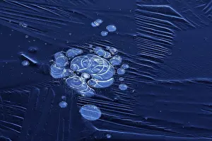 Full Frame Winter Image Impressions: Bubbles and structure in ice