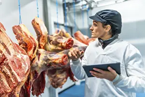 Protective Clothing For Workers Impressions: Butcher using technology in a innovative meat processing factory checking the meat using digital tablet