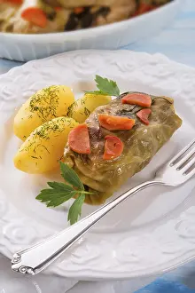 Healthy Lunch Options Nutrition Impressions: Cabbage roll