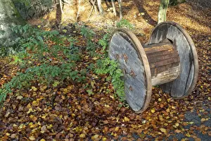 Images datées du 4 décembre 2024: Cable drum forest