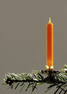 Christmas Tree Decoration Impressions: Candle