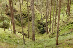 Upper Palatinate Nature Park Impressions: Doline, solution doline, collapse doline