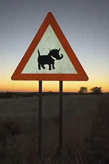 Impressions de Étiquette de précaution pour se méfier des phacochères, Windhoek, Namibie, Afrique Suidés Impressions: Étiquette de précaution pour se méfier des phacochères.