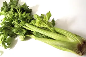 Leafy Greens Food Impressions: Celeriac