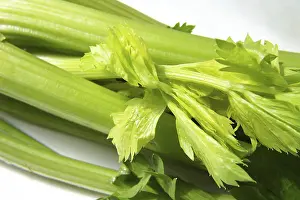 Leafy Greens Food Impressions: Celeriac