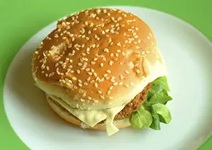 High Calorie Burger Impressions: Cheeseburger