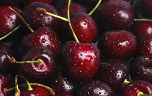 Fresh Fruit Studio Shot Impressions: Cherries