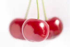 Cherry Fruit Impressions: Cherry