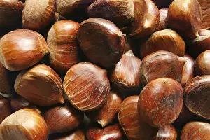Winter Food Photography Impressions: Chestnuts