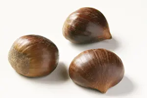 Sweet Chestnut Nutrition Impressions: Chestnuts