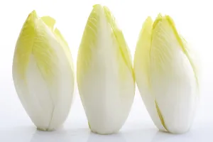 Fresh Vegetable Cutouts Impressions: Chicory