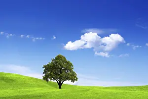Agricultural Environment Impressions: Clean Environment