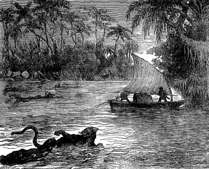 Wild Animal Depiction Impressions: Clinging to the floating corpse
