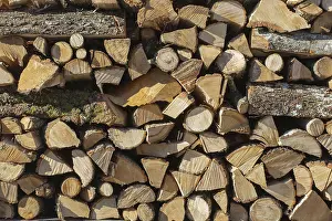 Images datées du 11 juin 2024: Close up firewood stack print
