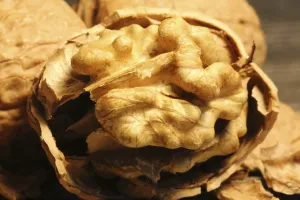 Walnut Detail View Impressions: Close-up of walnuts on the table
