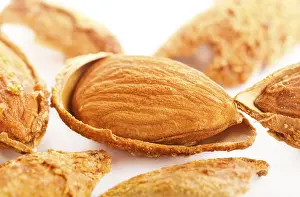 Detailed Studio Photography Impressions: Close up view of roasted almonds in shell