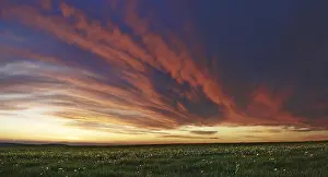 Overcast Weather Conditions Impressions: Cloud front approaching