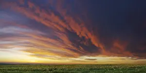 Overcast Weather Conditions Impressions: Cloud front approaching